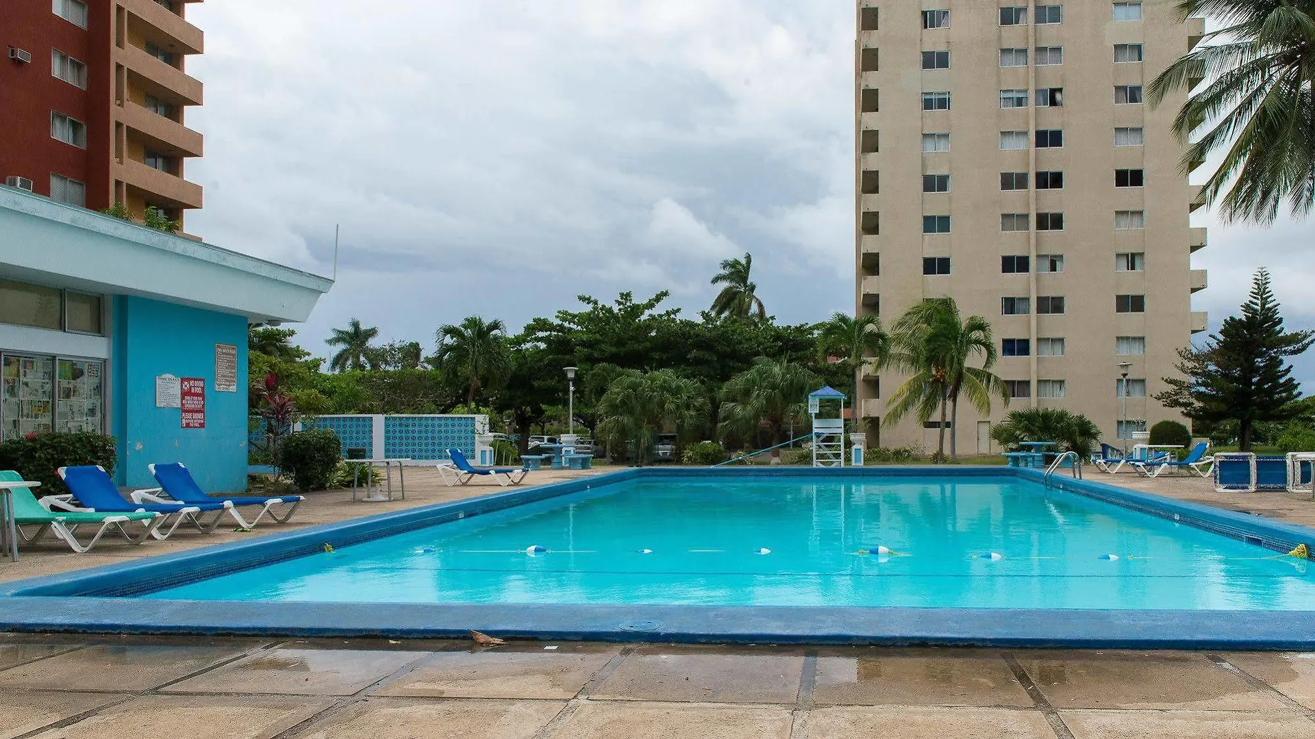 Dolphin Beach Suite Ocho Rios Apartment